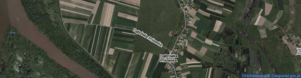 Zdjęcie satelitarne Dąbrówka Pniowska ul.